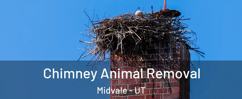  Chimney Animal Removal Midvale - UT