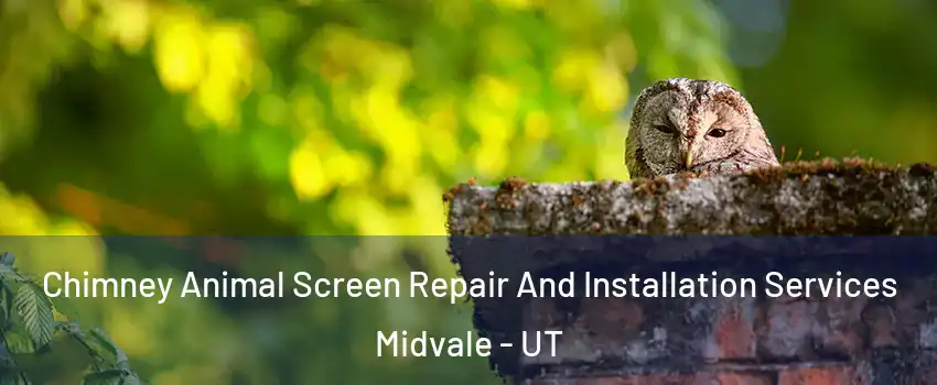  Chimney Animal Screen Repair And Installation Services Midvale - UT