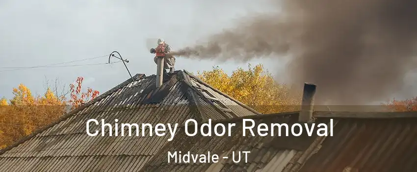  Chimney Odor Removal Midvale - UT