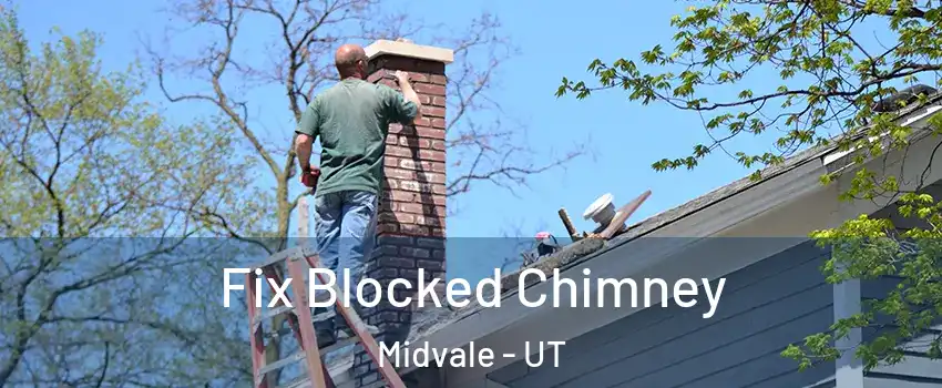  Fix Blocked Chimney Midvale - UT
