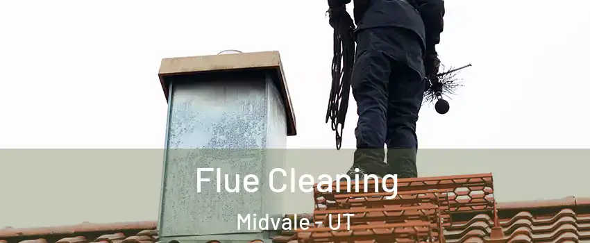 Flue Cleaning Midvale - UT