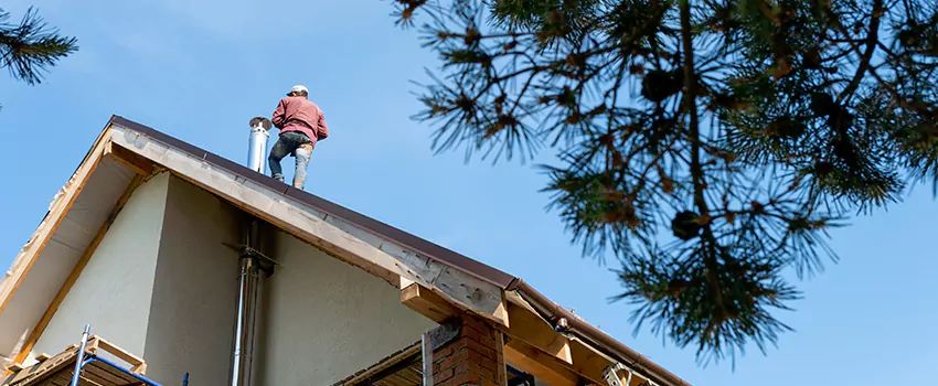 Birds Removal Contractors from Chimney in Midvale, UT