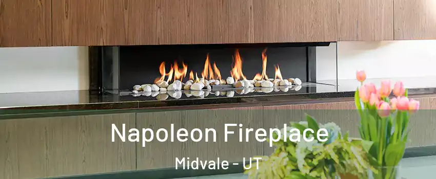  Napoleon Fireplace Midvale - UT